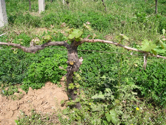 http_imgload (2).jpg