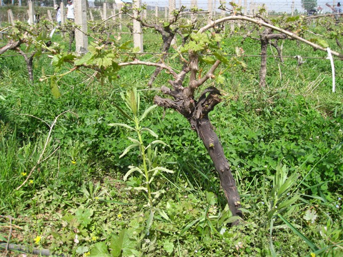 http_imgload (3).jpg