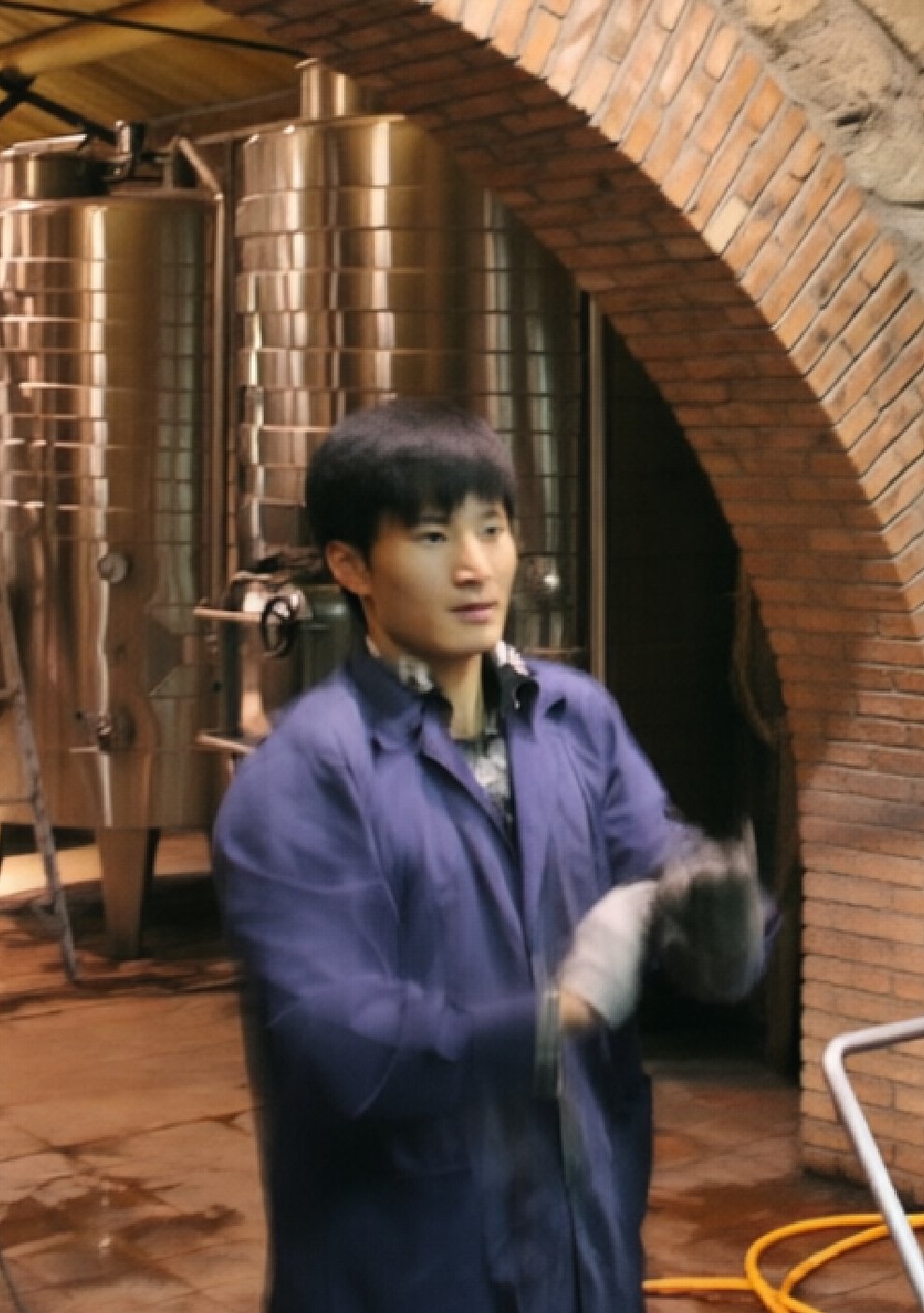 酒庄工作时的自己 酒庄工作时的自己