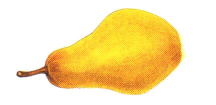 pear.jpg pear.jpg