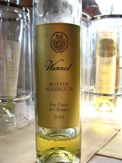 Wenzel Ruster Ausbruch am Fusse de Berges, Burgenland Austria
