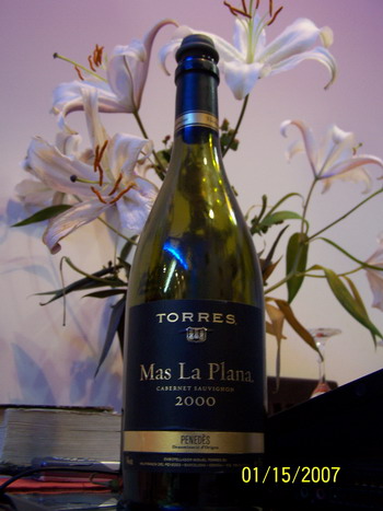 Torres Mas La Plana