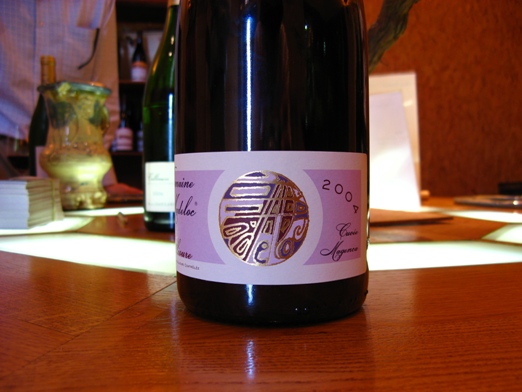 Pierre Gaillard, Domaine Madeloc 