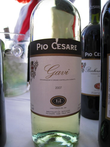 Pio Cesare, Gavi DOC